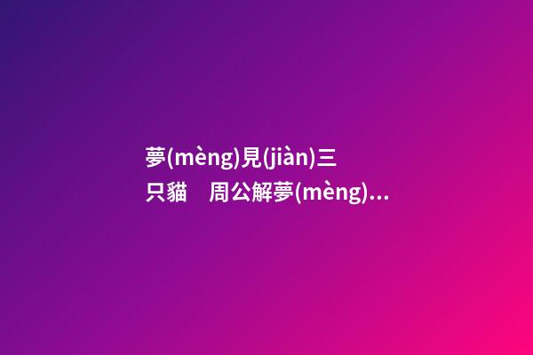夢(mèng)見(jiàn)三只貓　周公解夢(mèng)之夢(mèng)到三只貓